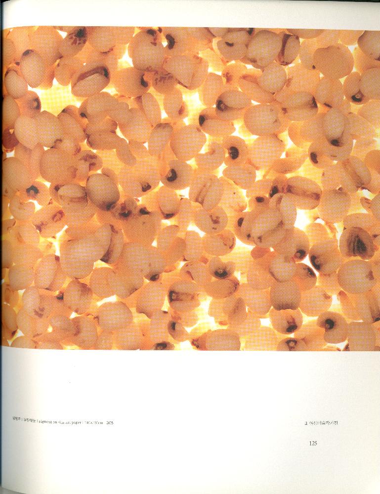 2008년 여성부 건국60주년 기념 《여성60년사, 그 삶의 발자취》 도록