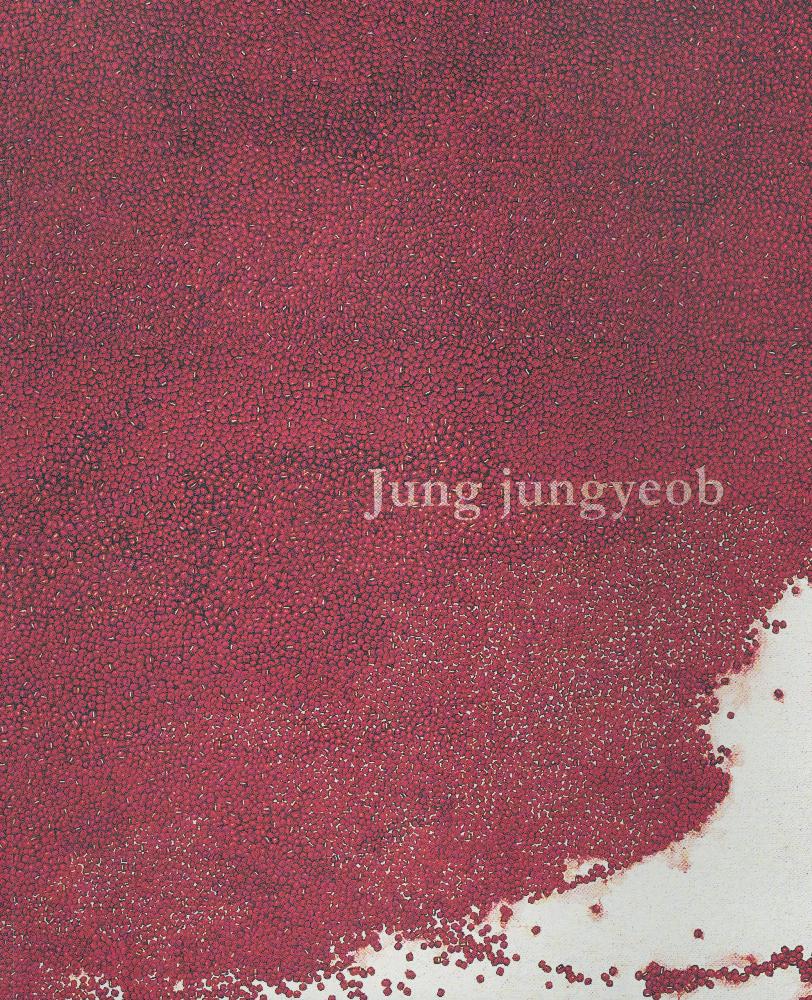 2009년 『Jung jungyeob』 작품집 1