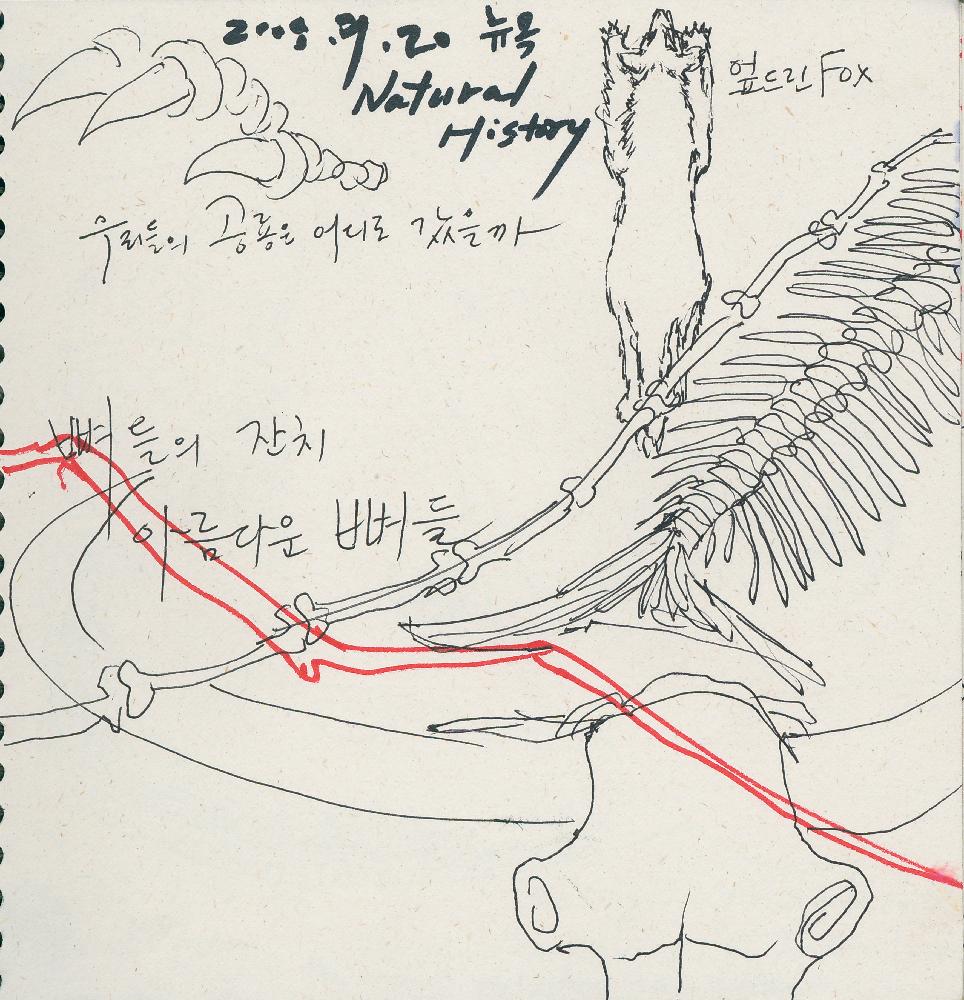 2008년 정정엽 여행노트: 미국 뉴욕 1