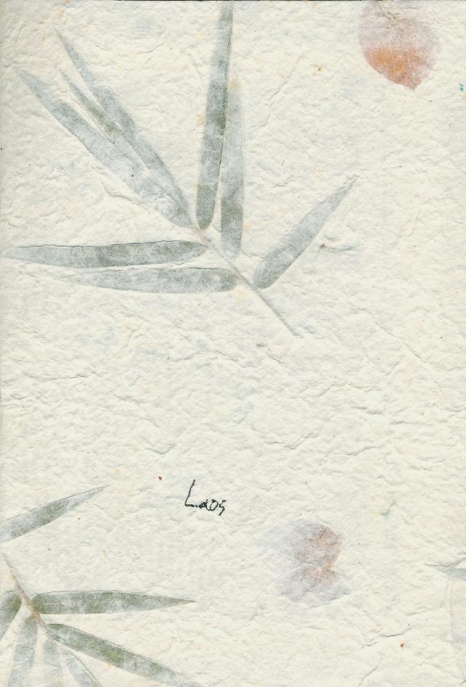 2010년 정정엽 여행노트: 라오스
