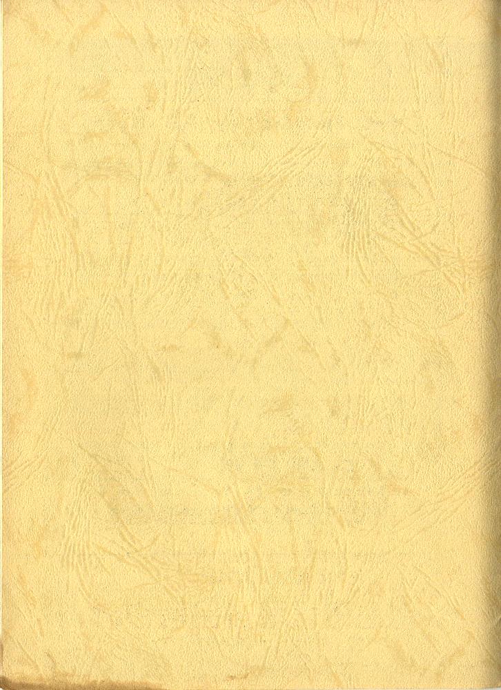 1988년 《너흰 우릴 막을 수 없어》 리플릿