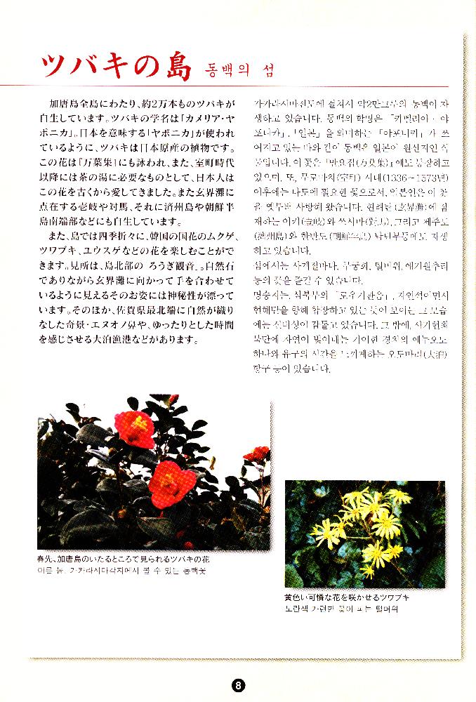 2011년 '완전가이드 가카라시마 - 아름다운 동백과 무령왕의 섬' 팸플릿