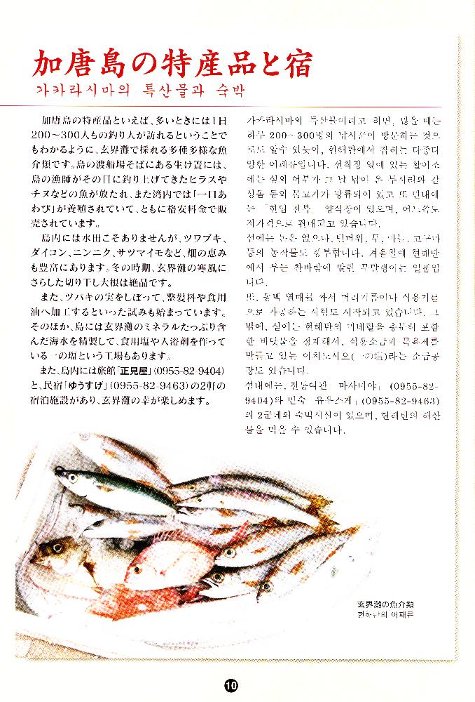 2011년 '완전가이드 가카라시마 - 아름다운 동백과 무령왕의 섬' 팸플릿