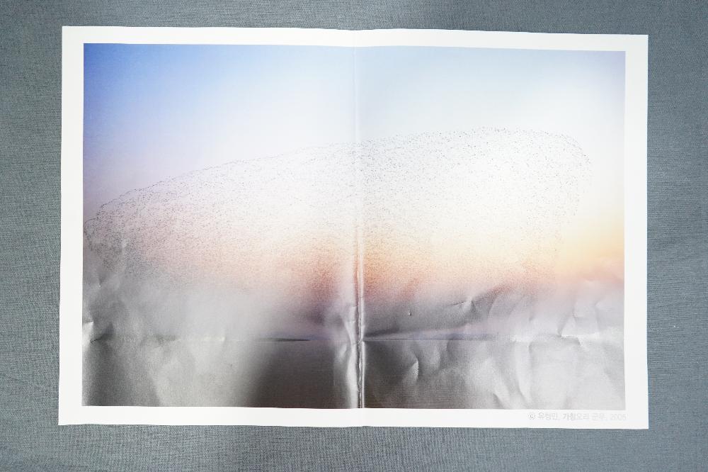 유형민, 2005년작 <가창오리 군무> 사진 1