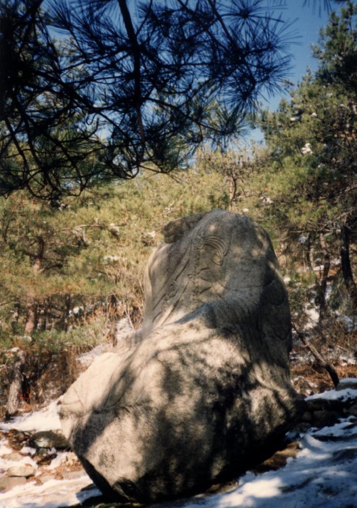 1993년 1월 19일 경주 남산 관련 사진