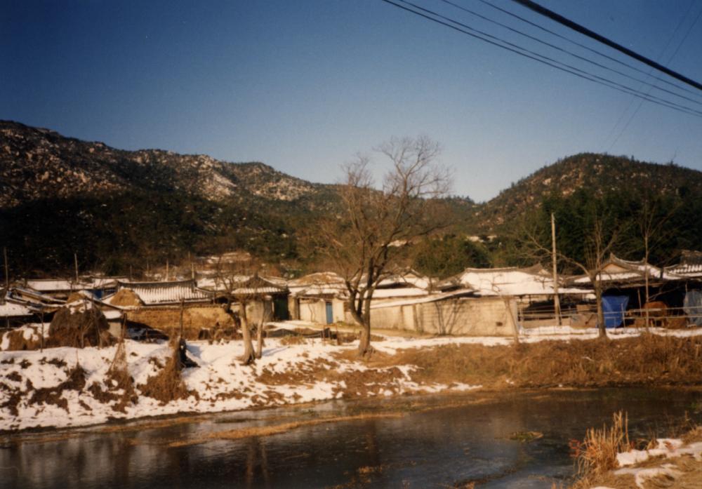 1993년 1월 19일 경주 남산 관련 사진