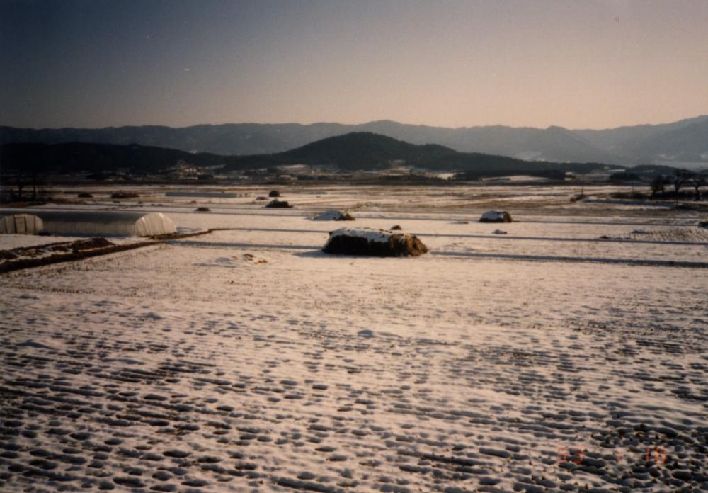 1993년 1월 19일 경주 남산 관련 사진