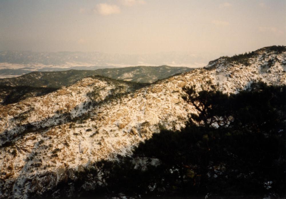 1993년 1월 19일 경주 남산 관련 사진