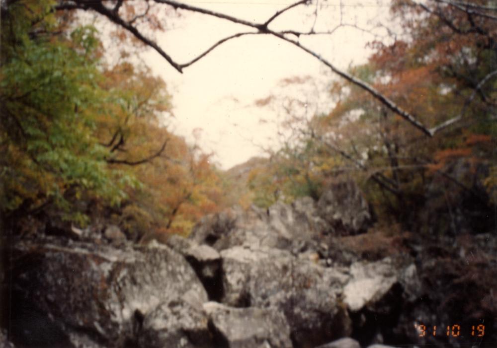 1991년 10월 민족미술 협의회 회화2분과 ≪조국의 산하전≫ 지리산 답사관련 사진 2