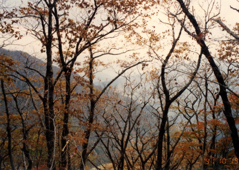 1991년 10월 민족미술 협의회 회화2분과 ≪조국의 산하전≫ 지리산 답사관련 사진