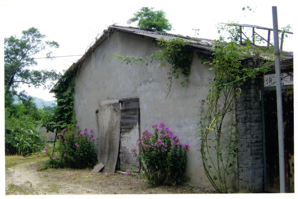2005년 8월 24일 김정헌 작업실 사진 4