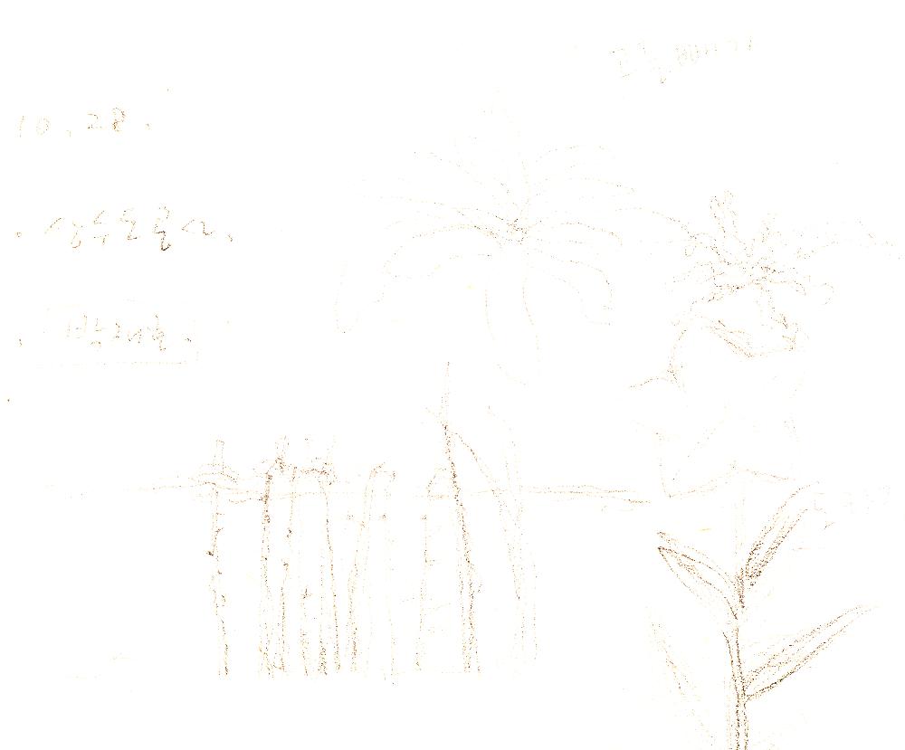 1989년 6월 10일 김정헌의 작가노트_「풀 되리라」 시와 풍경 관련 드로잉