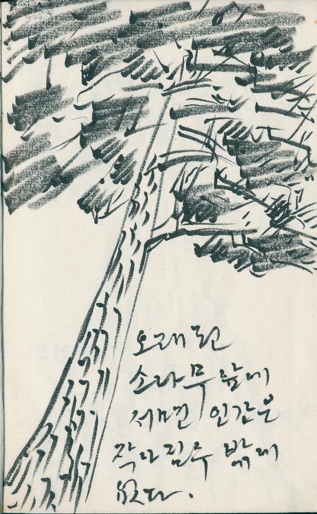2009년 8월 13일 김정헌의 작가노트_ 소나무, 풍경, 인물 드로잉 3