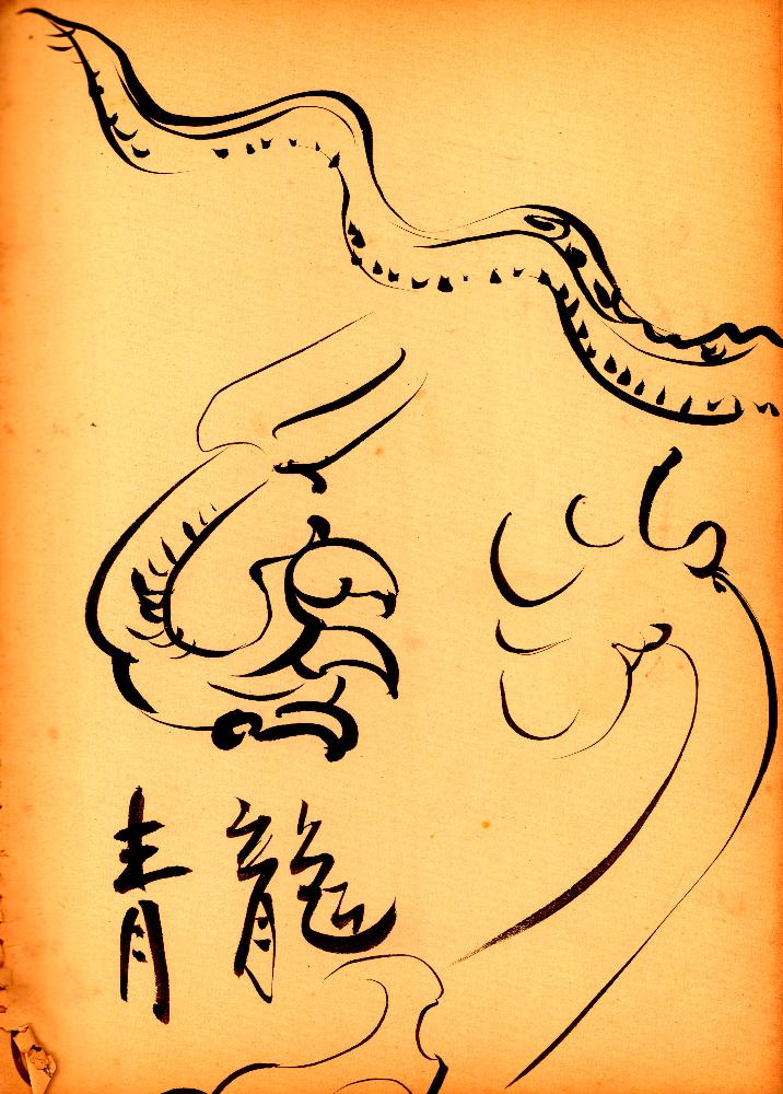 김정헌의 작가노트_대학-대학원