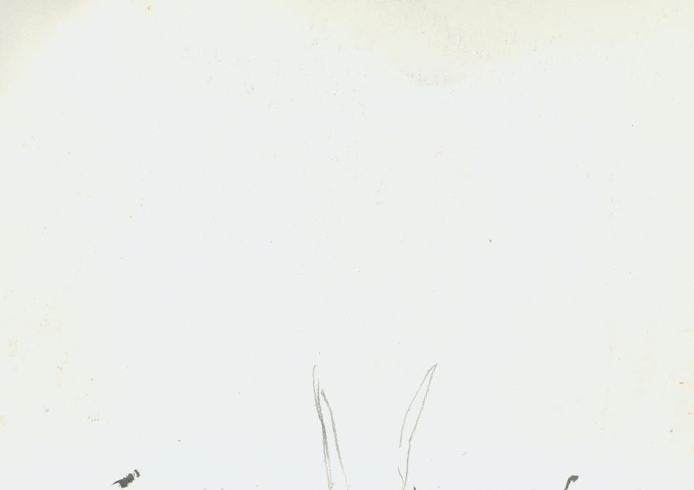 김정헌 작가노트_앙코르와트, 일본여행