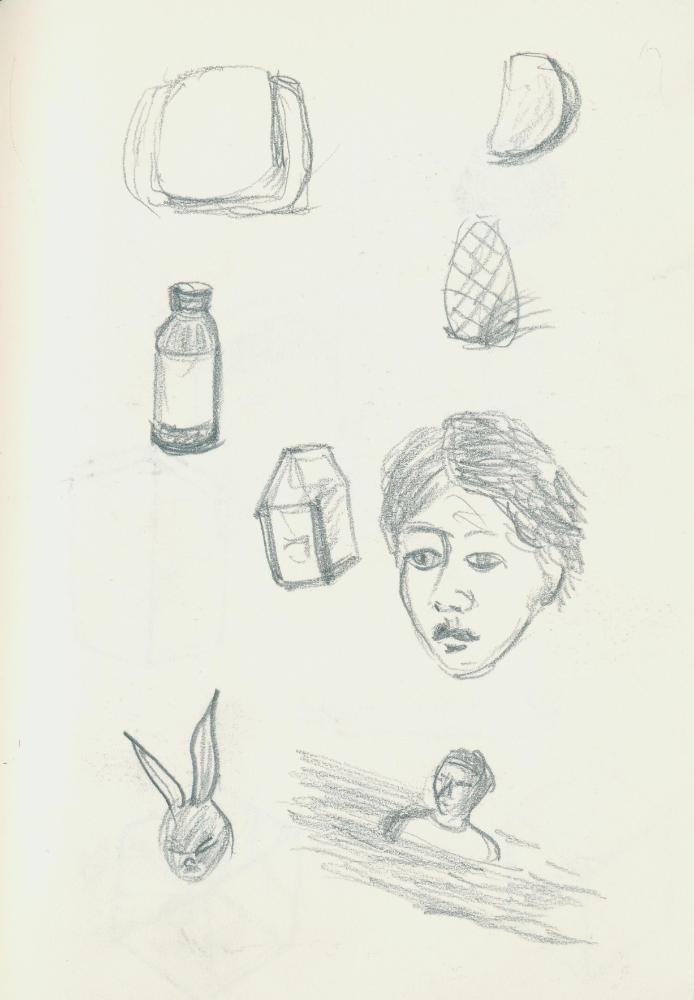 김정헌 작가노트_앙코르와트, 일본여행