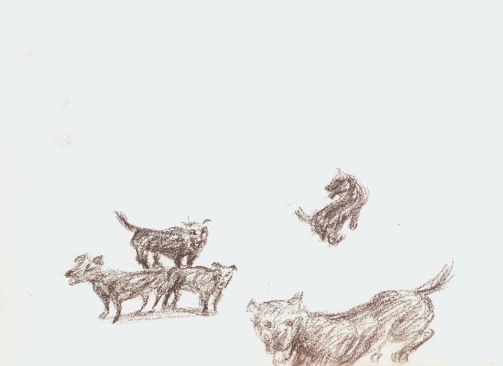 김정헌의 작가노트 8