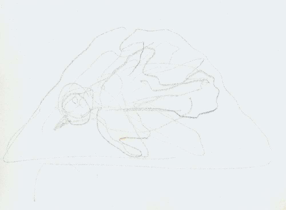 김정헌의 작가노트