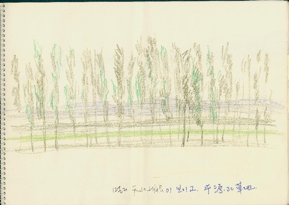 김정헌의 작가노트_중국 여행, <일어나는 땅>, 새 관련 드로잉 7