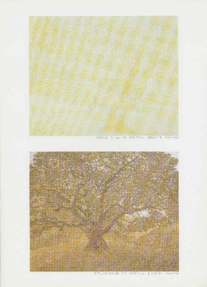 2006년 《임동식 風景(풍경)보기·景觀(경관)읽기1》 도록 8