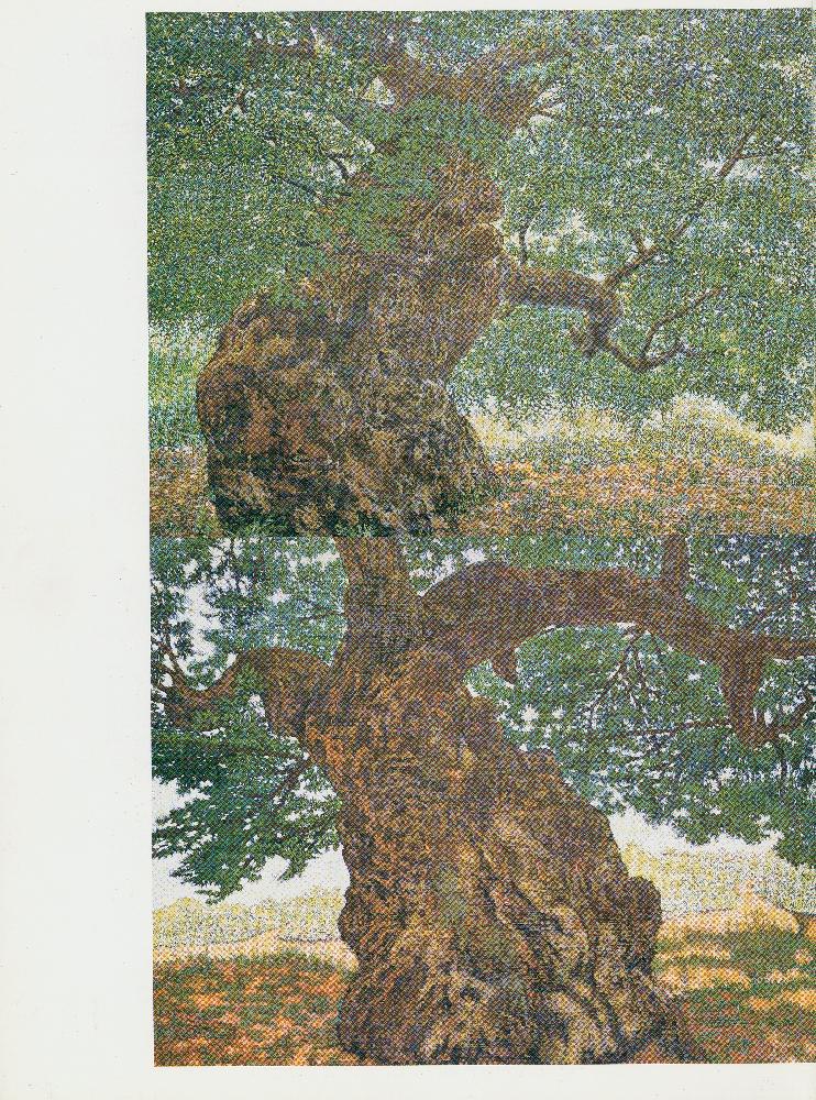 2006년 《임동식 風景(풍경)보기·景觀(경관)읽기1》 도록