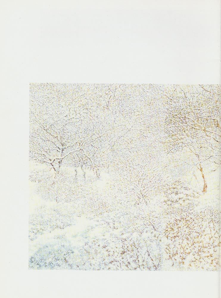 2006년 《임동식 風景(풍경)보기·景觀(경관)읽기1》 도록