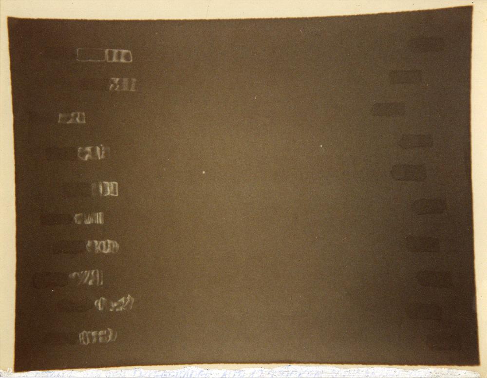 1984년 함부르크에서의 〈테이프 드로잉〉 사진 6