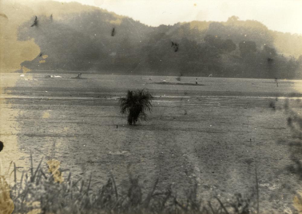 1981년 공주 금강에서의 〈온몸에 풀 꽂고 걷기〉 사진