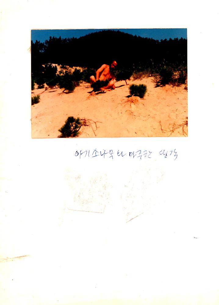 1988년 원산도에서 촬영한 〈아기 소나무와 마주한 생각〉사진 1