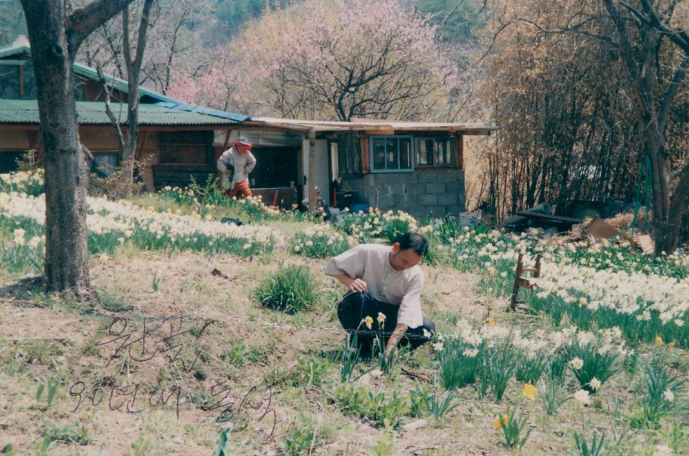 공주 원골마을에서의 꽃농사 사진 2