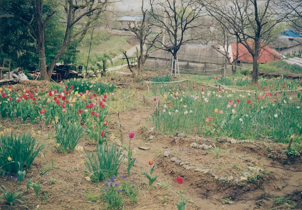 1993년부터 1999년까지 공주 원골마을 작업실 전경 사진 1