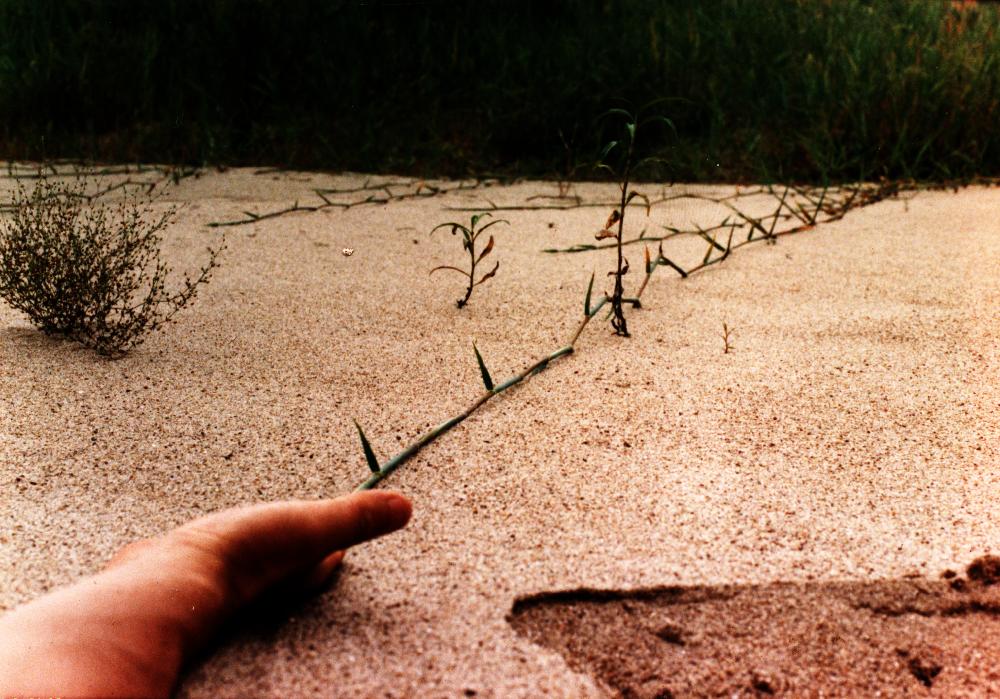 1992년 공주 금강에서의 〈풀과의 작업〉 사진 1