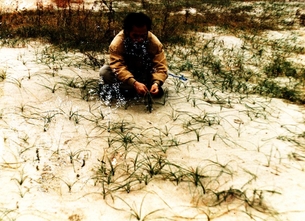 1992년 공주 금강에서의 〈풀과의 작업〉 사진 2
