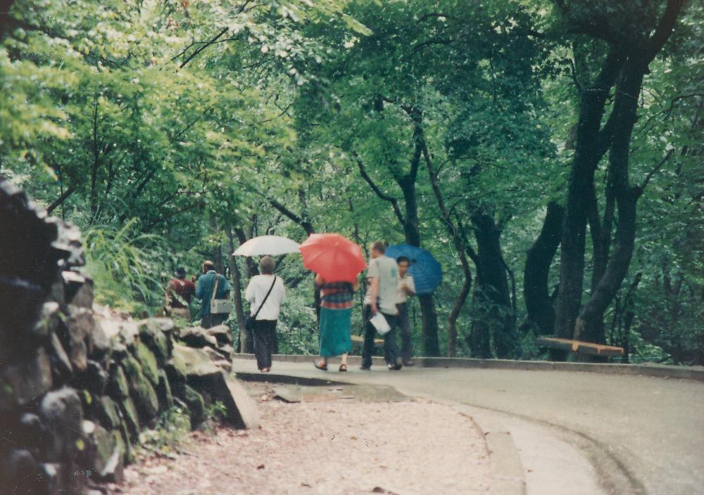 1991년 《금강에서의 국제자연미술전》 국외 참여 작가 문화 답사 현장 사진