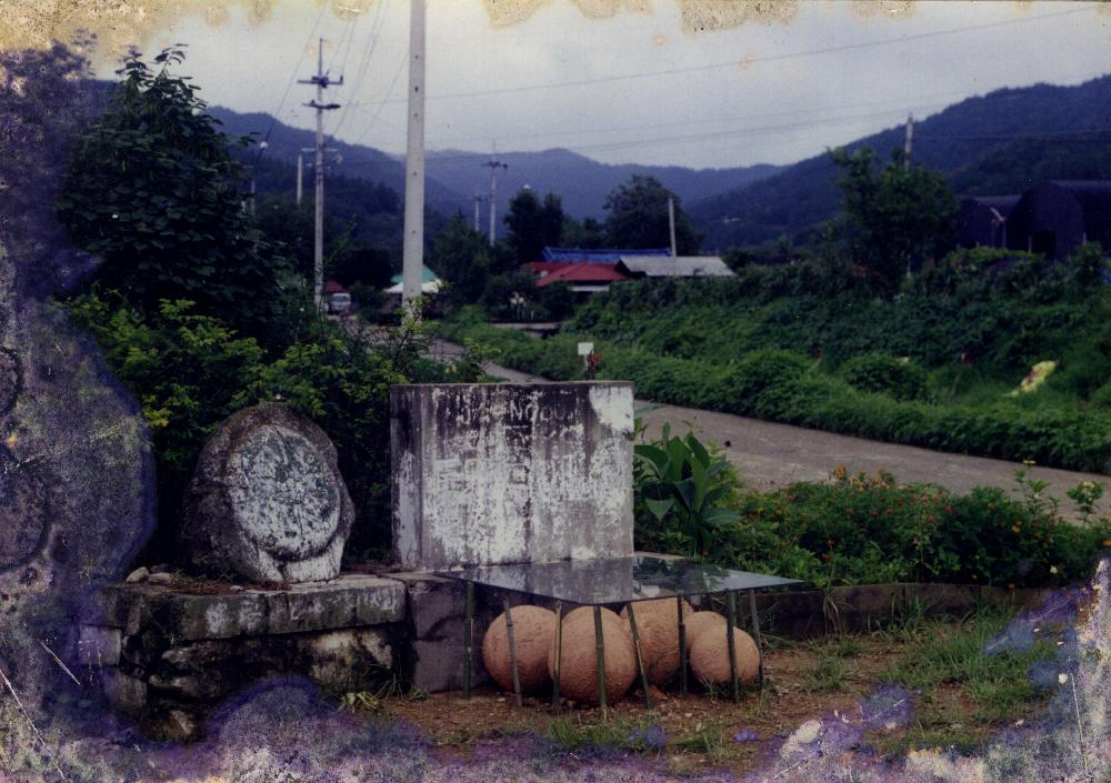 2001년 《예술과 마을》에 출품된 임동식 작품 〈원골에 기와집은 몇 채나 남았는가?〉 사진 3