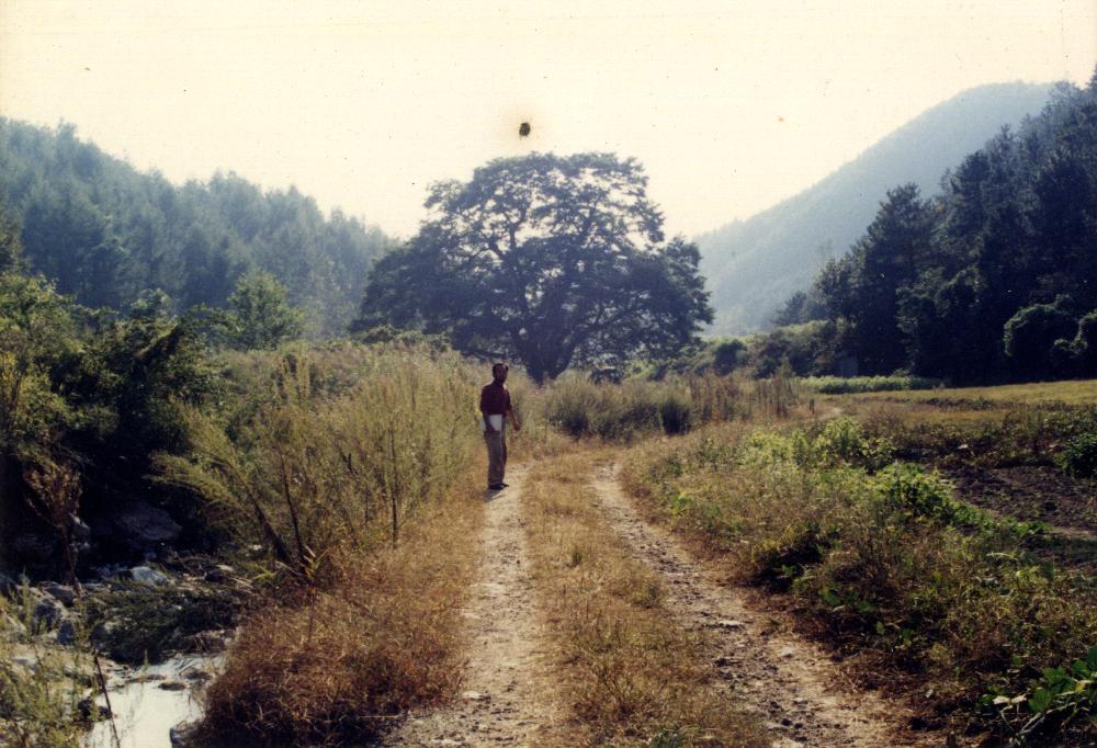 1993년 촬영한 배재대 미술학과 학생들과 함께한 원골 현장수업 사진