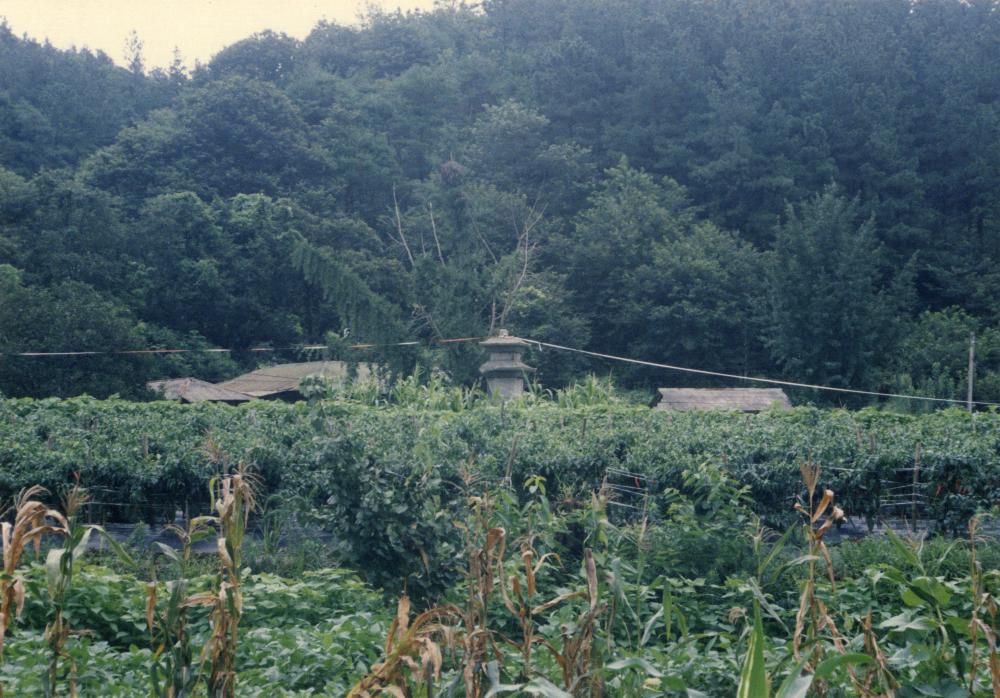 2001년 《예술과 마을》에 출품된 초대작가 작품 〈탑에 선띄우기〉 사진 2