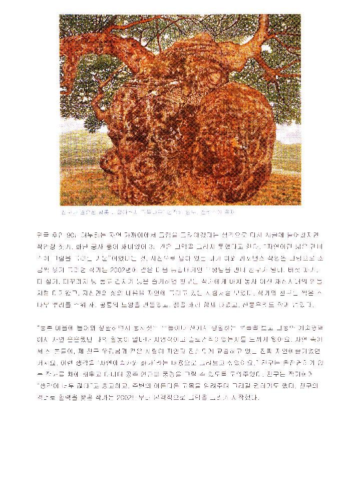 2010년 《임동식-자연 예술가와 화가》 자료 스크랩