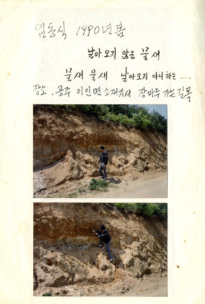작품 〈물새집 만들기〉의 사진 1