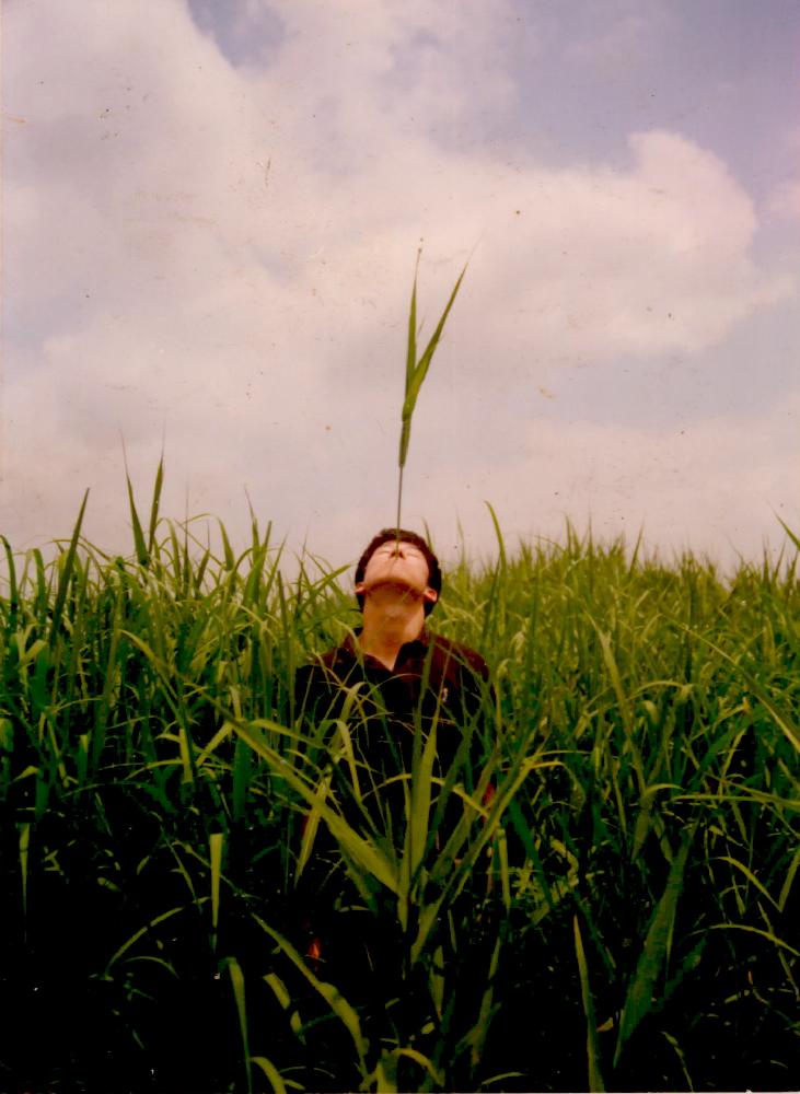 1991년 공주 금강에서 이성원의 〈갈대밭에서〉 사진 1