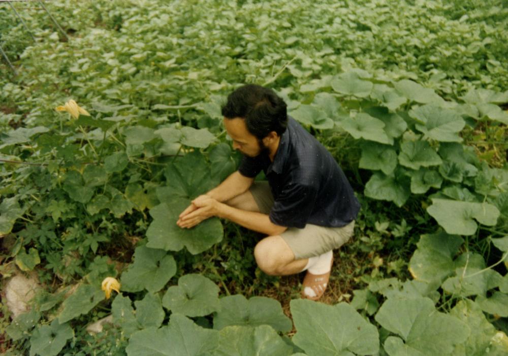 1993년 공주 원골마을에서의 〈호박잎 흉내내기〉 사진 1