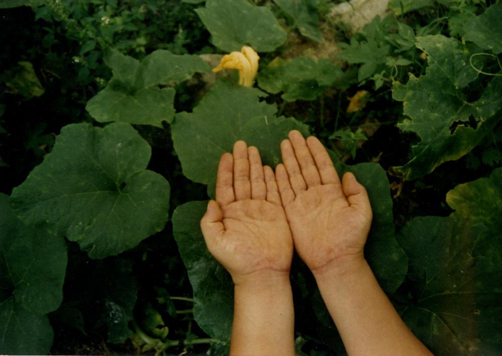 1993년 공주 원골마을에서의 〈호박잎 흉내내기〉 사진 2