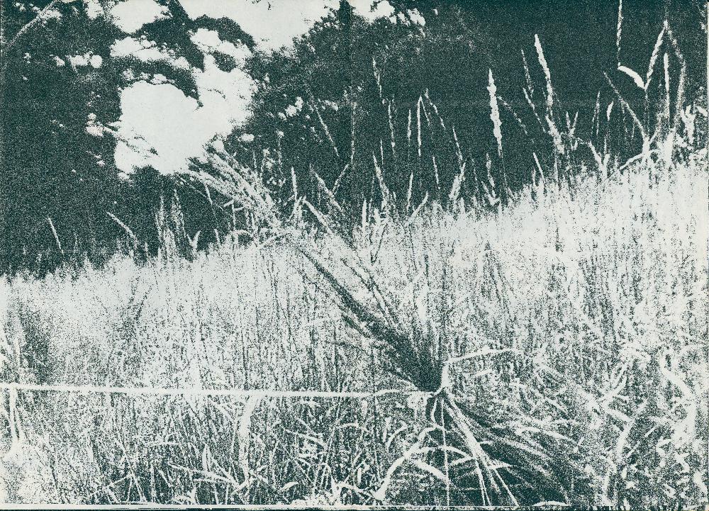 1985년 〈풀잎과 마주한 생각〉 문서 2