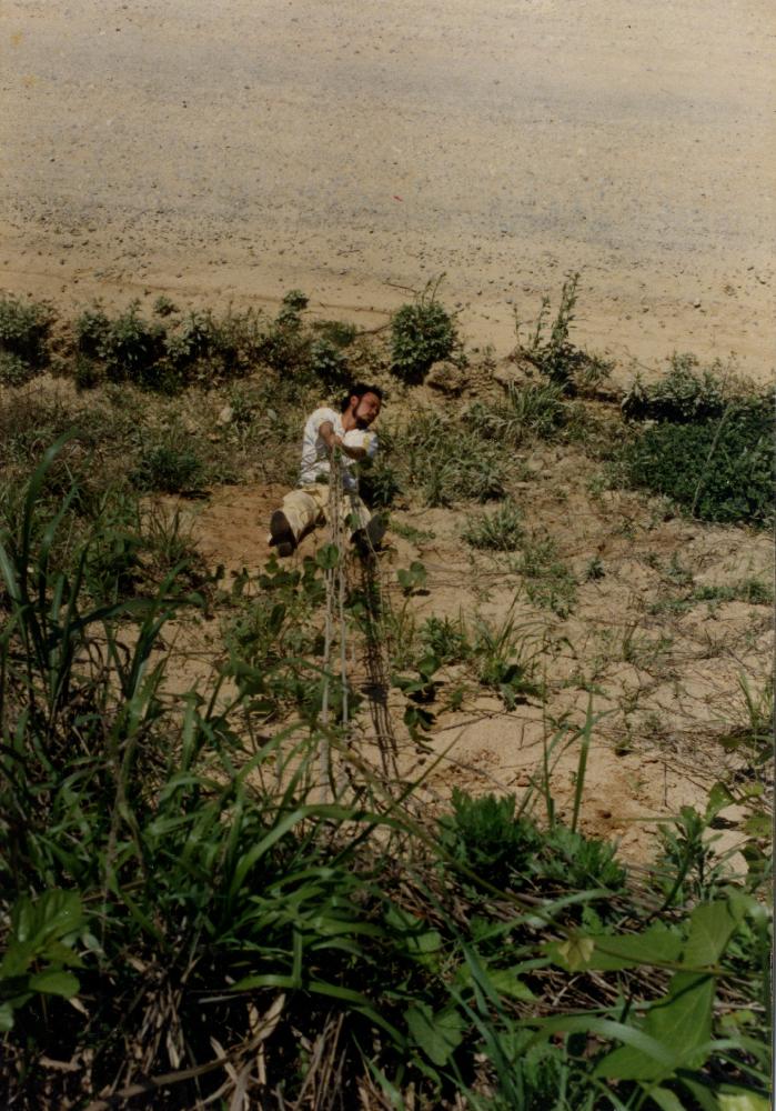 1990년 공주 이인에서 촬영된 〈넝쿨에 메달리기〉사진 1