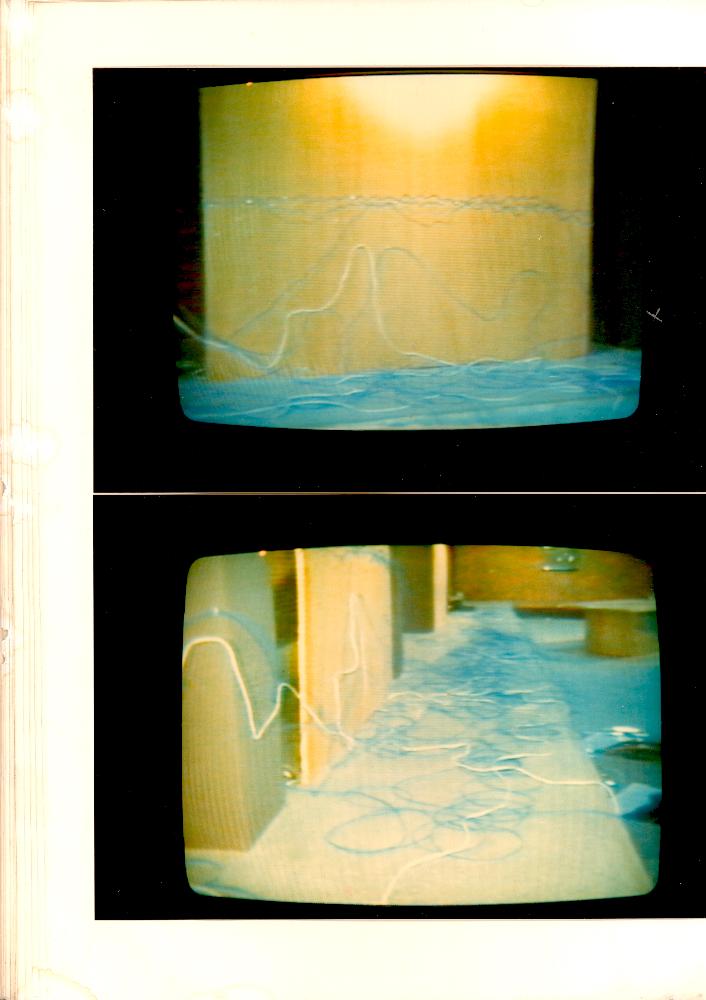 1980년대 〈잃어버린 무지개를 찾아서〉 자료집