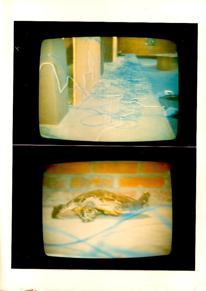 1980년대 〈잃어버린 무지개를 찾아서〉 자료집