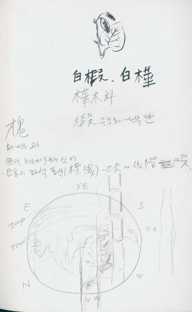 2000년 김차섭 구상노트 1