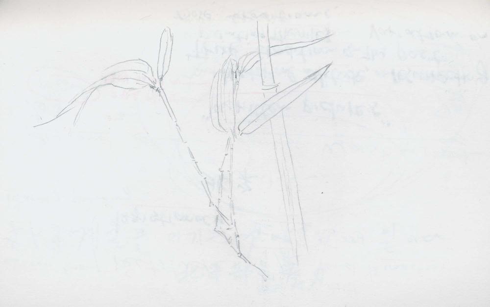 2000년 김차섭 구상노트 1