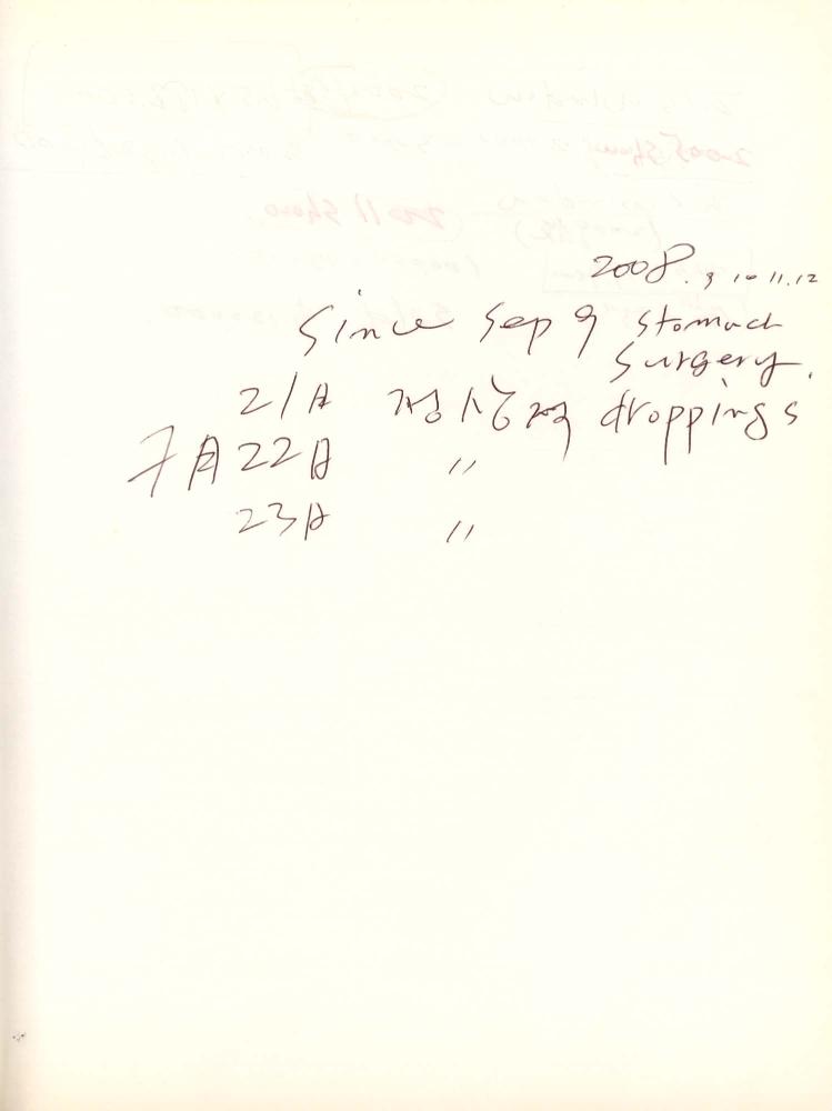 2011년 전후의 김차섭 구상노트 1