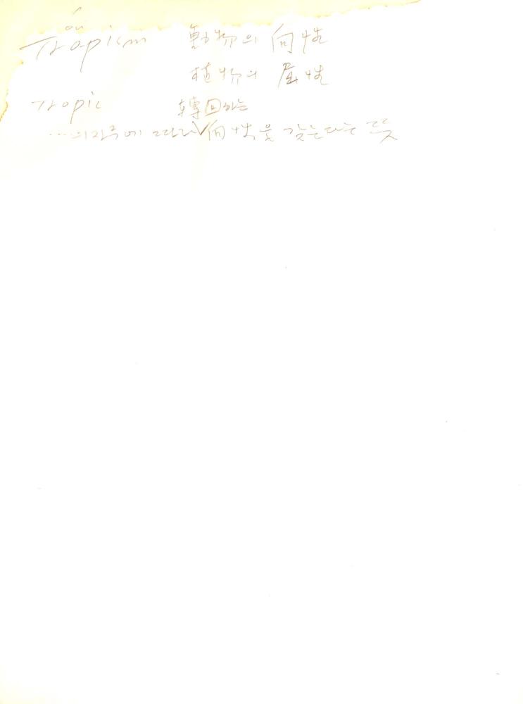 2003년 전후의 김차섭 구상노트 1